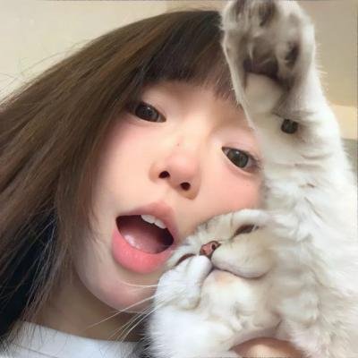 白鹭