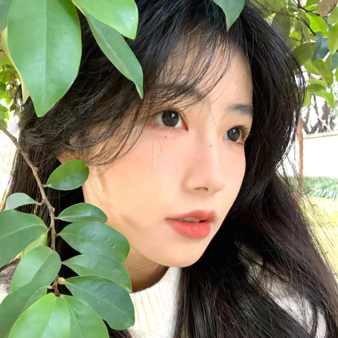 布劳涅森林的女人们
